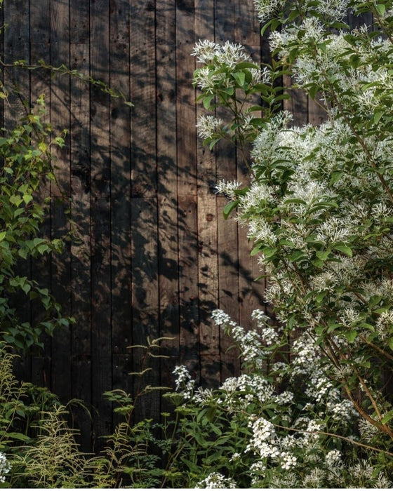Deep Charred Cladding - 35 Square Meter Pack -  BULK BUY