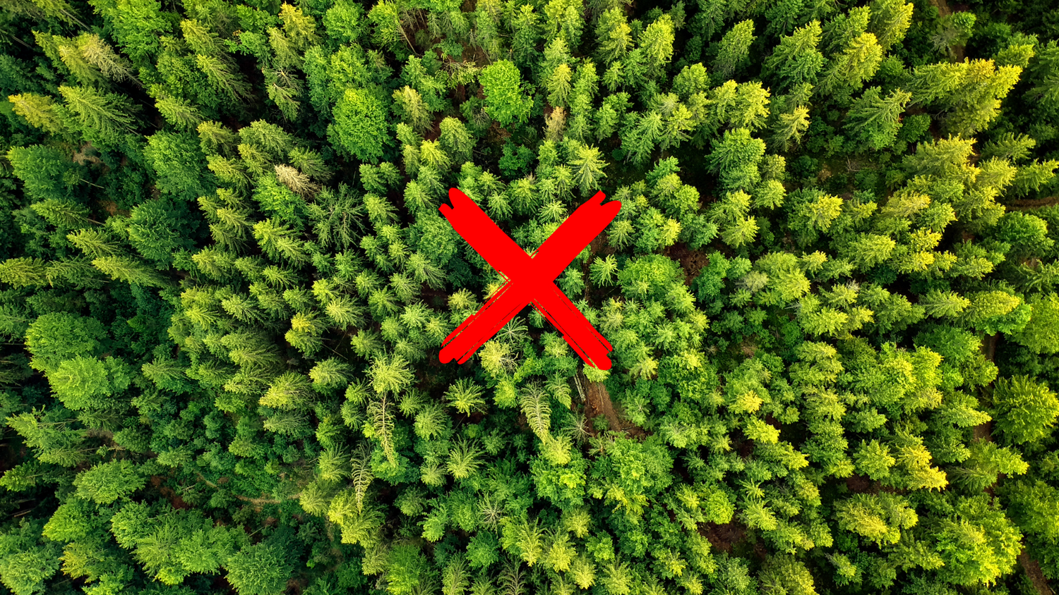 2. Lowers Demand for Virgin Timber