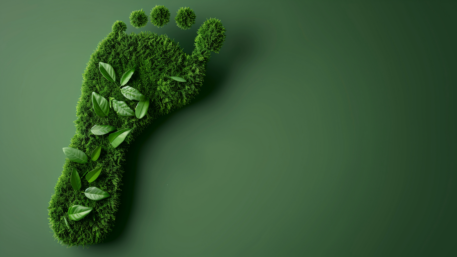 3. Smaller Carbon Footprint